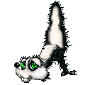 skunk animated.gif (22058 bytes)